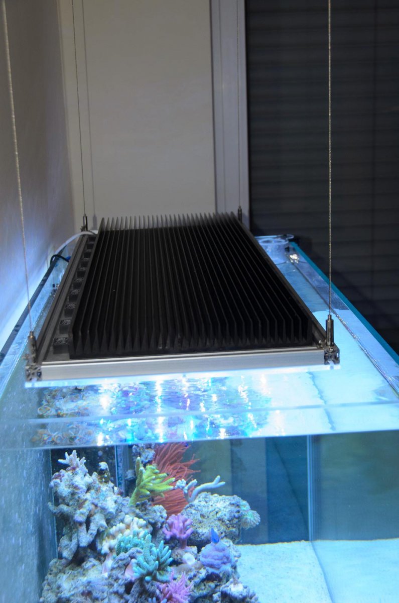 led.jpg