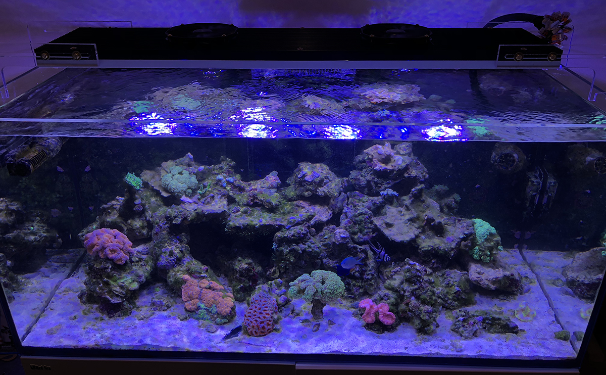 led.jpg