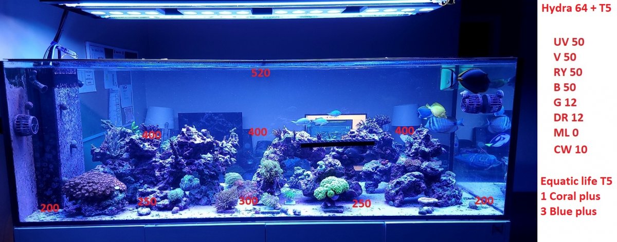 LED + T5.jpg