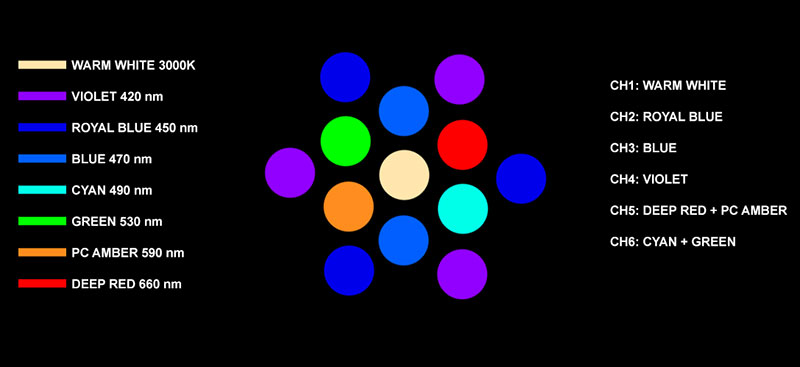 LEDcluster03.jpg