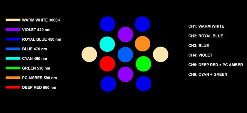 LEDcluster05.jpg