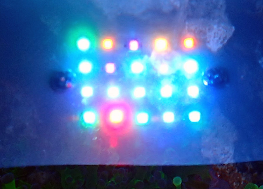 leds.jpg