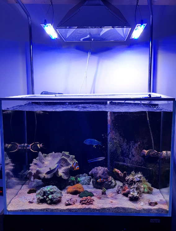 leds.jpg