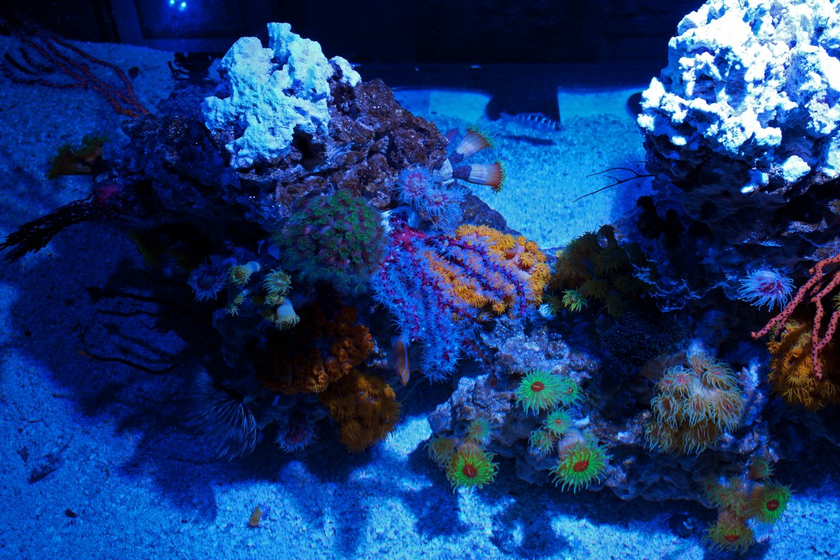 left side top view.jpg