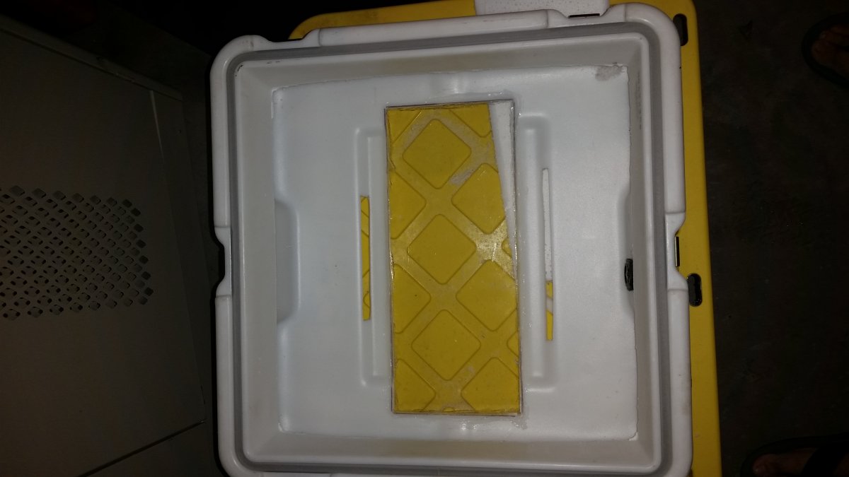 Lid.jpg