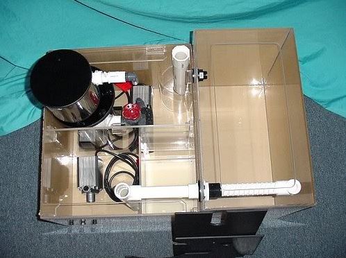 LifeReef Sump2.JPG