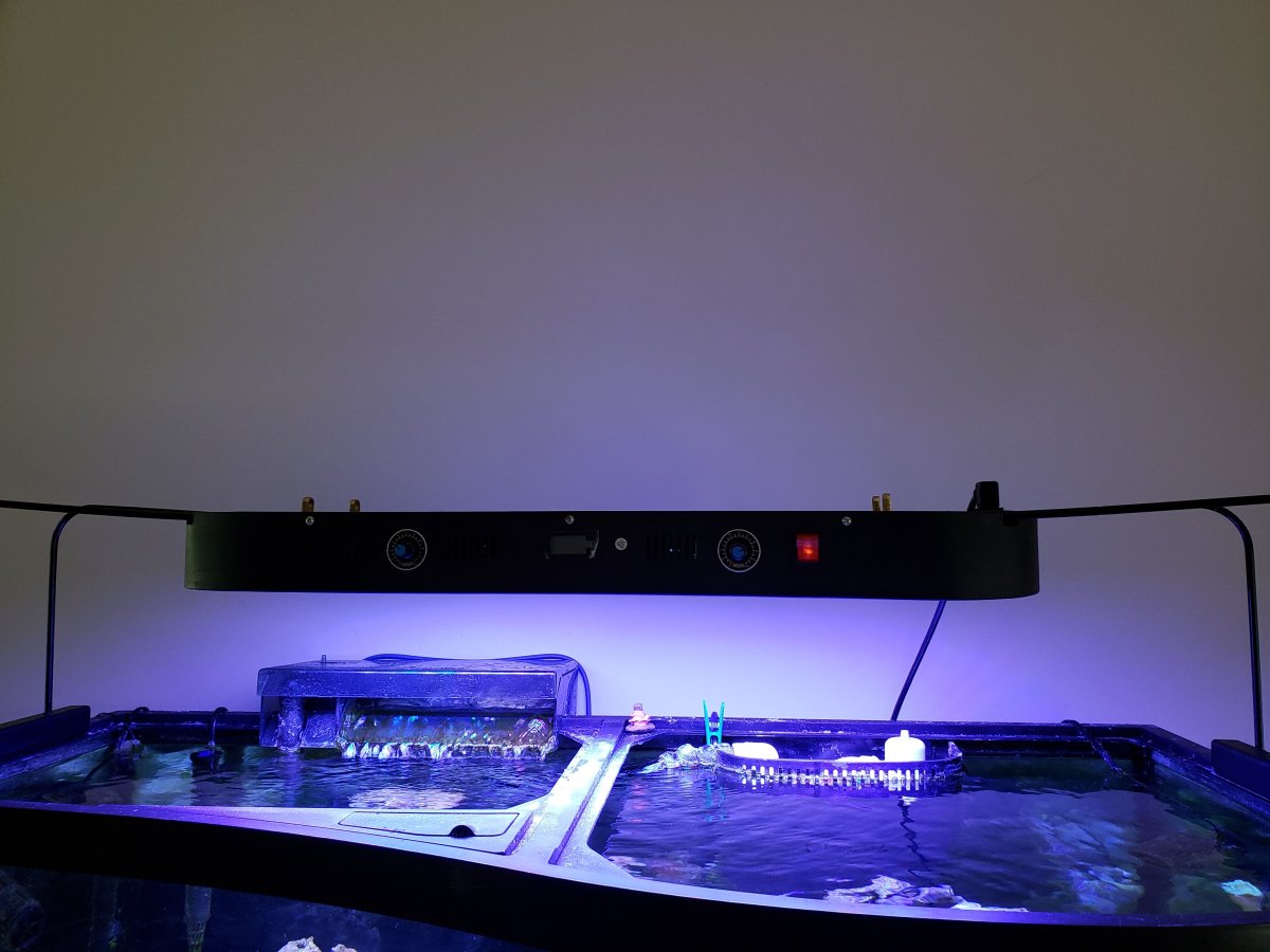 light 1.jpg