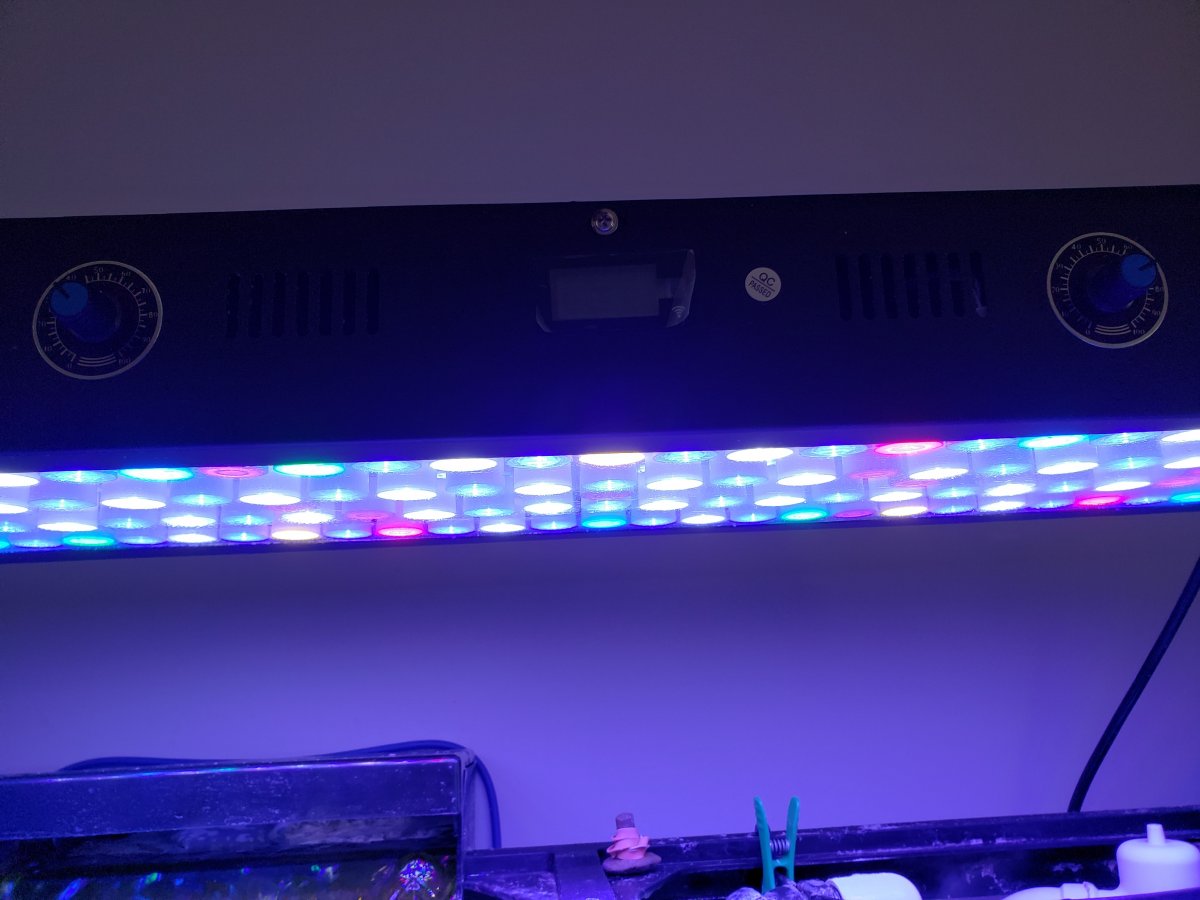 light 2.jpg