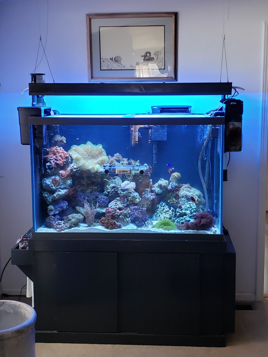 DIY T5 HO Hyrid LED Fixture REEF2REEF Saltwater and Reef
