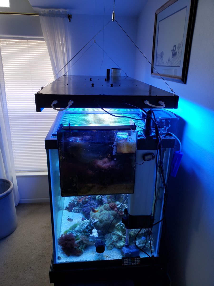 T5 aquarium hood hotsell