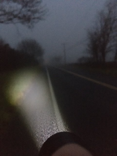 Light in fog.JPG