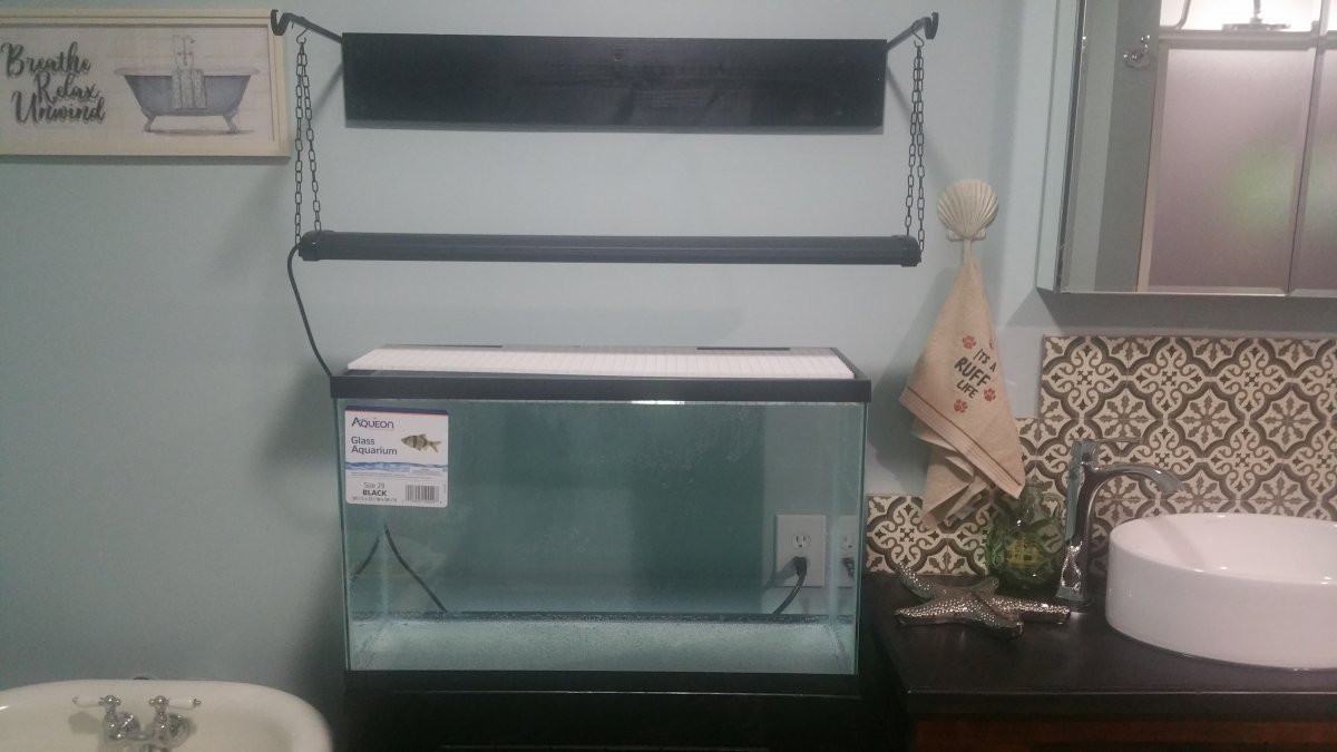 light.jpg