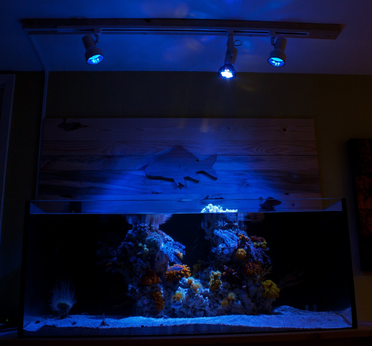 light system 1.jpg