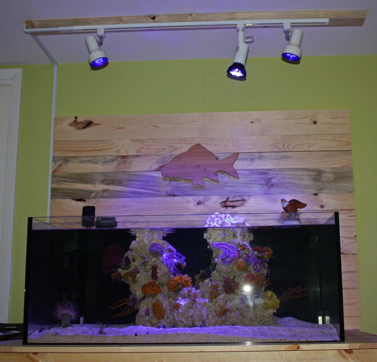 light system 2.jpg