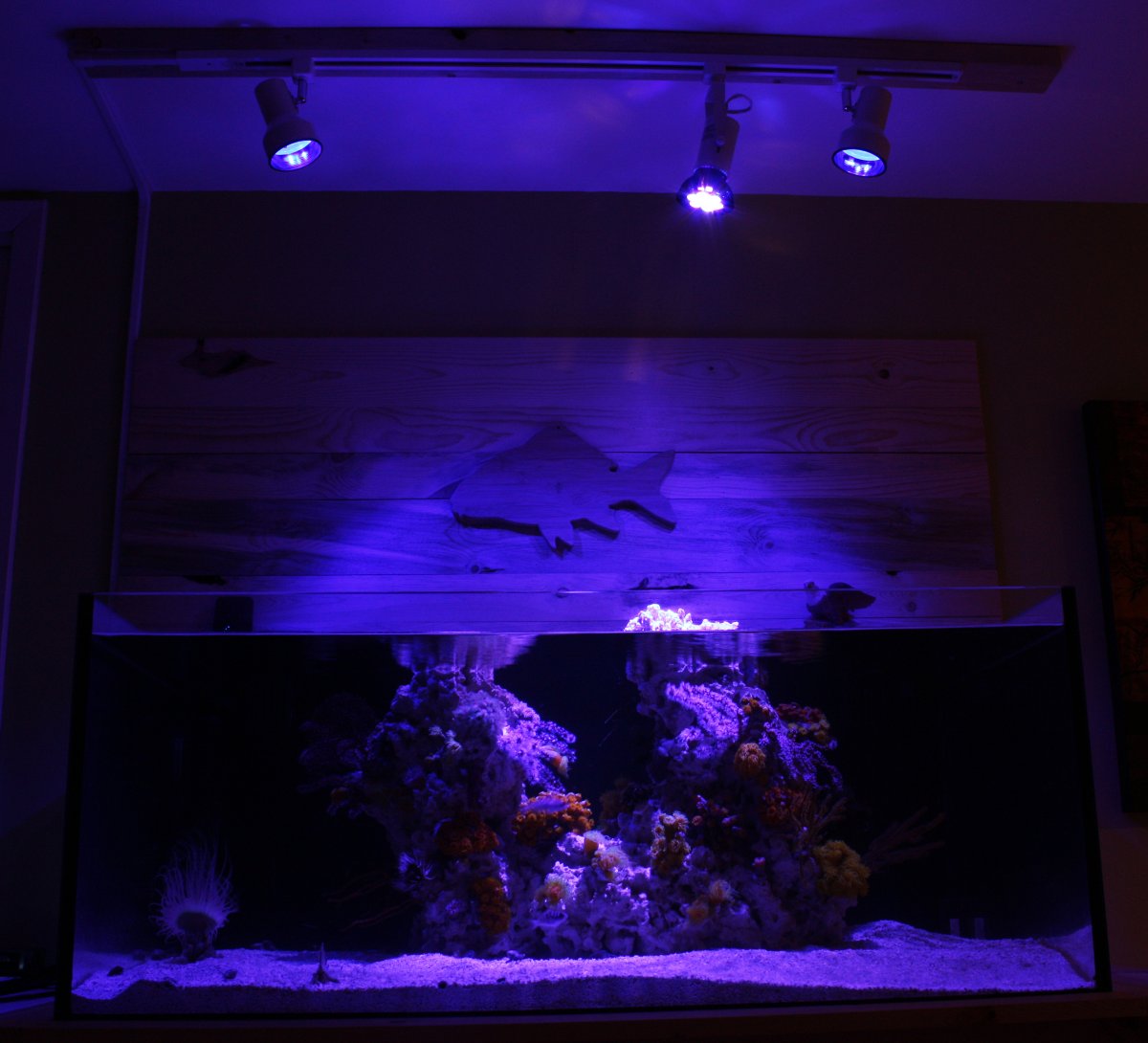 light system.jpg