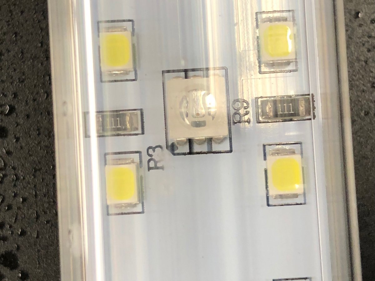 light2.jpg