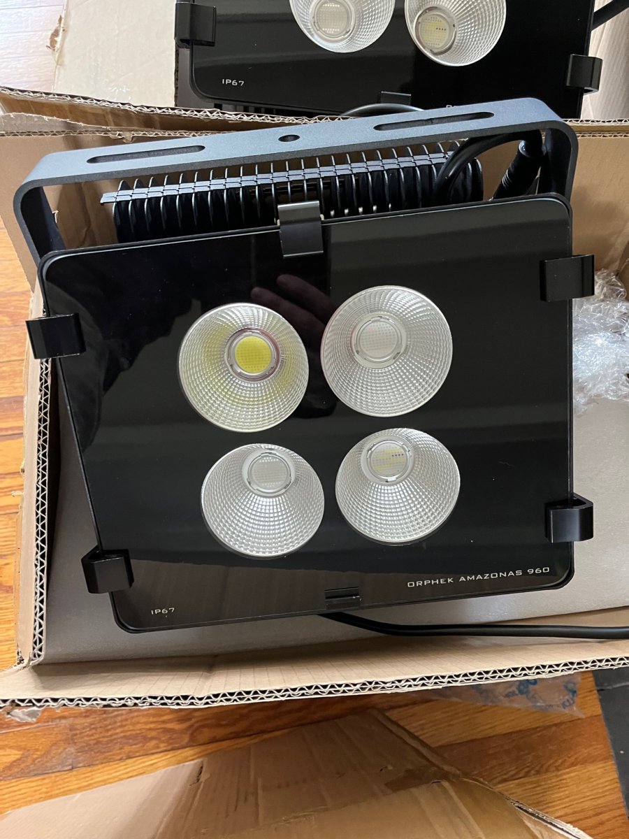 light2.jpg