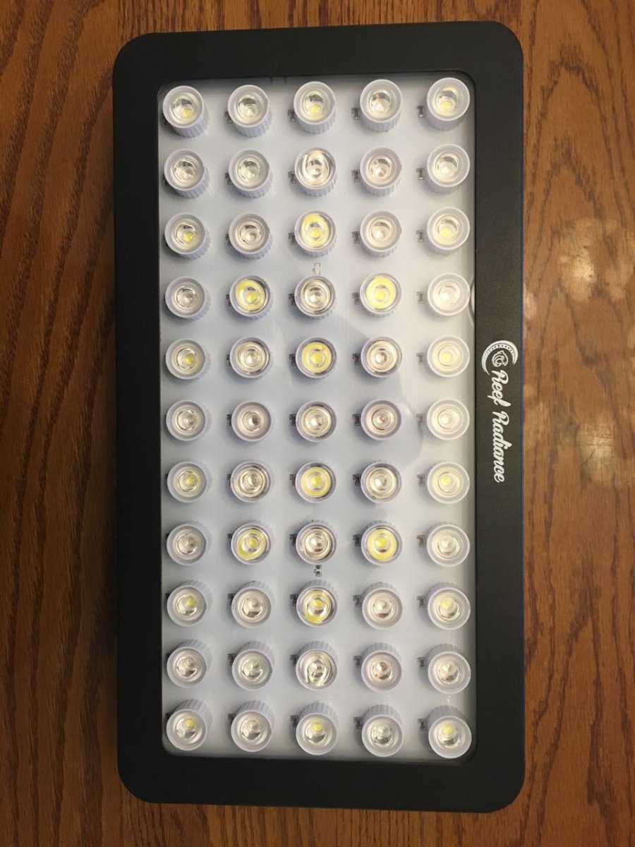 Light2.jpg