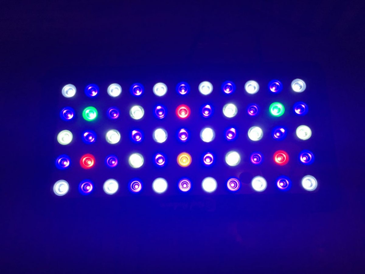 Light3.jpg