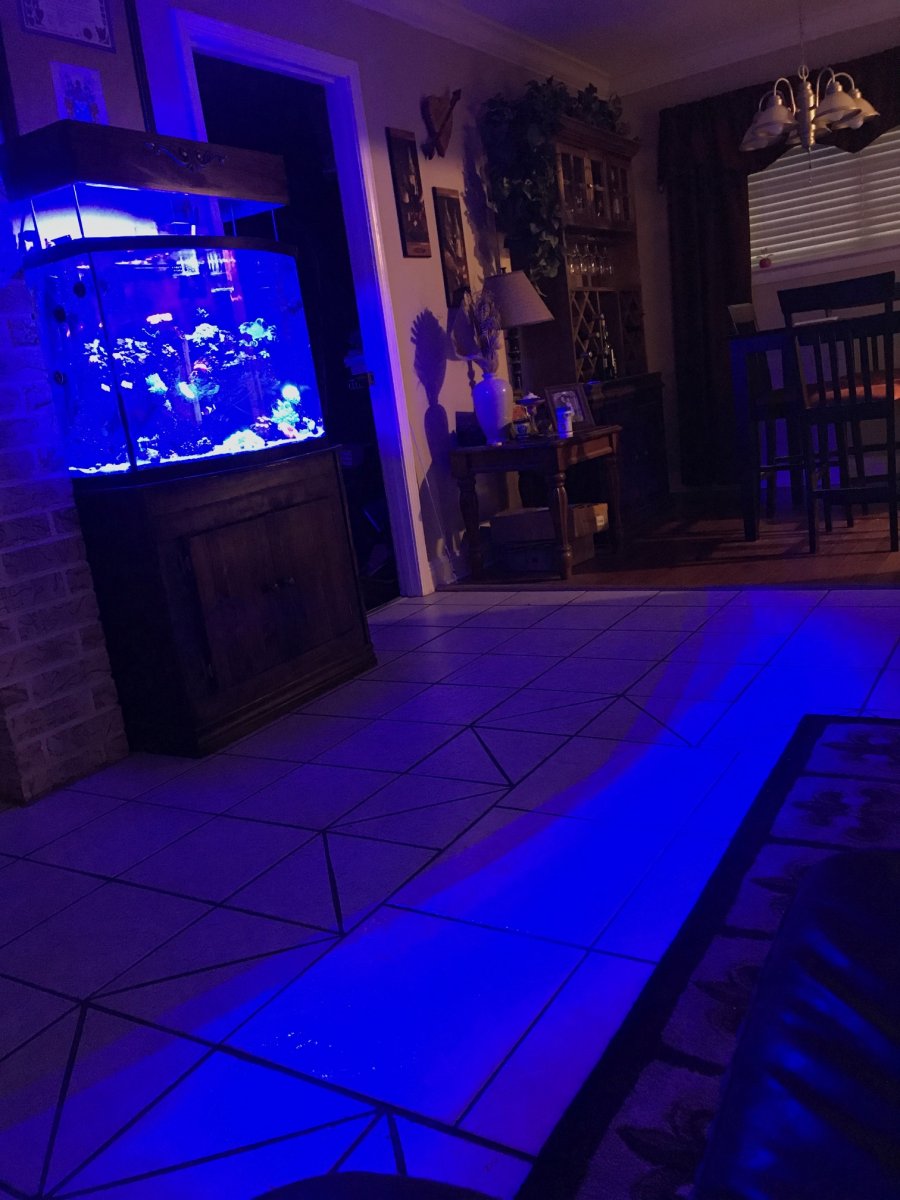 light_blue.jpg