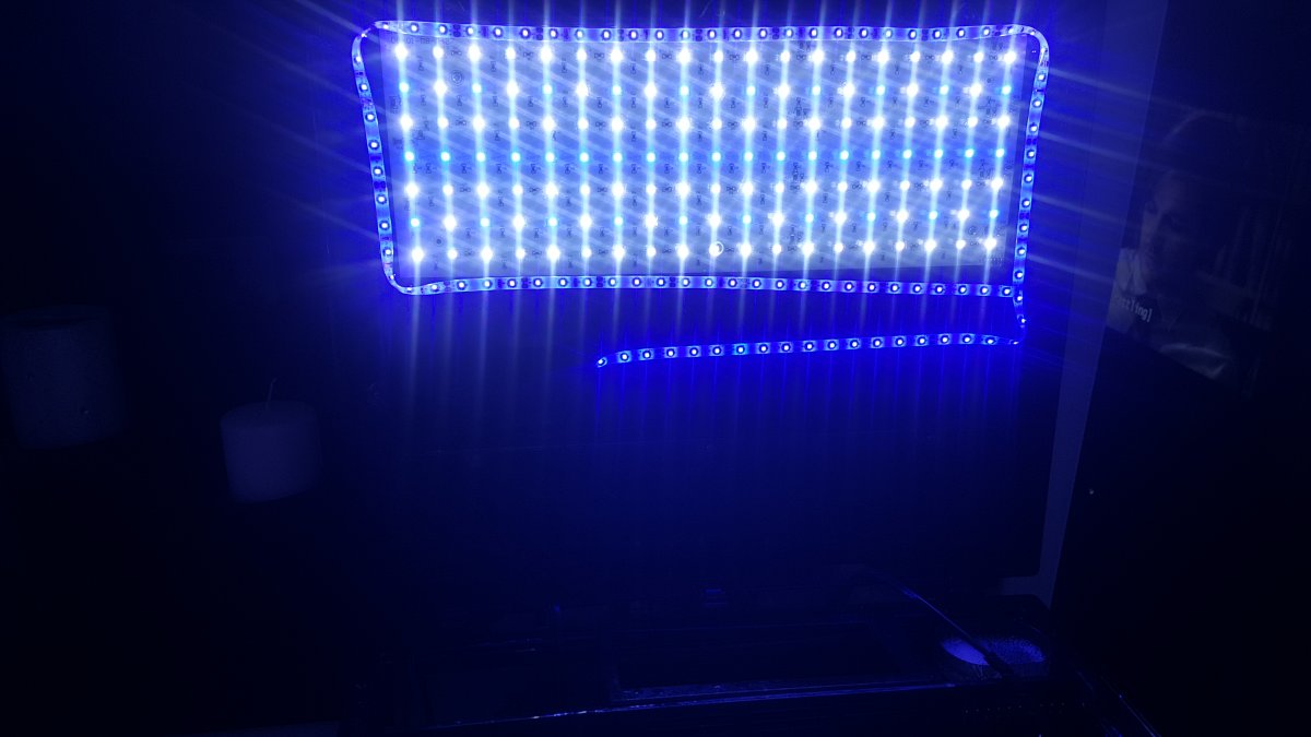 lighta.jpg