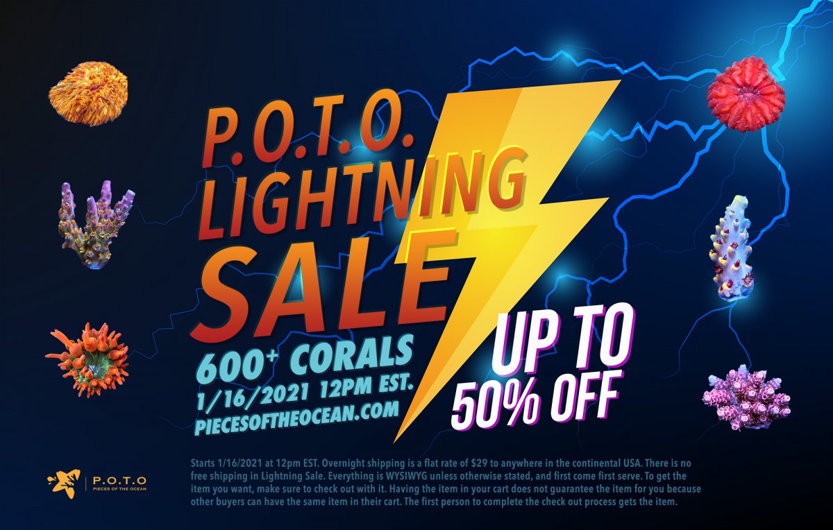 lightning-sale-1-16-2021.jpg