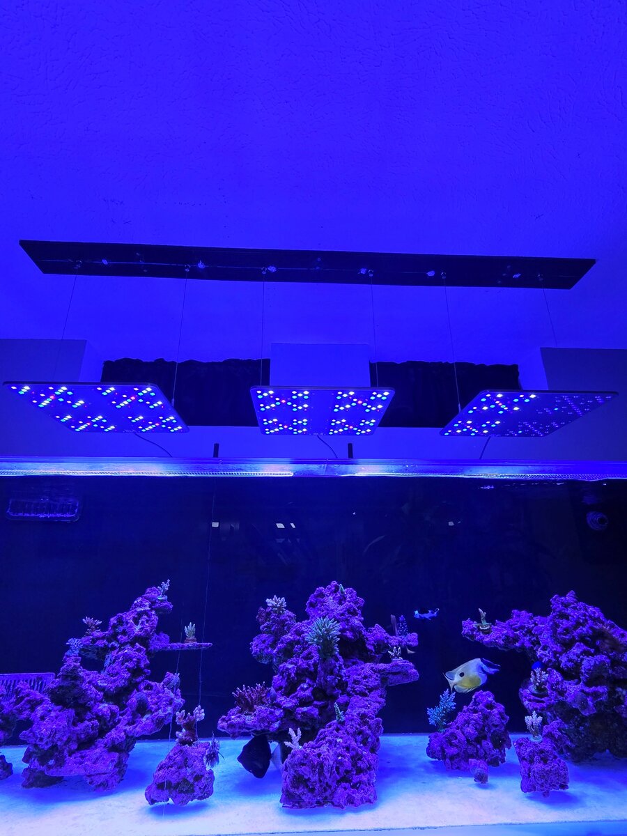 lights.jpg