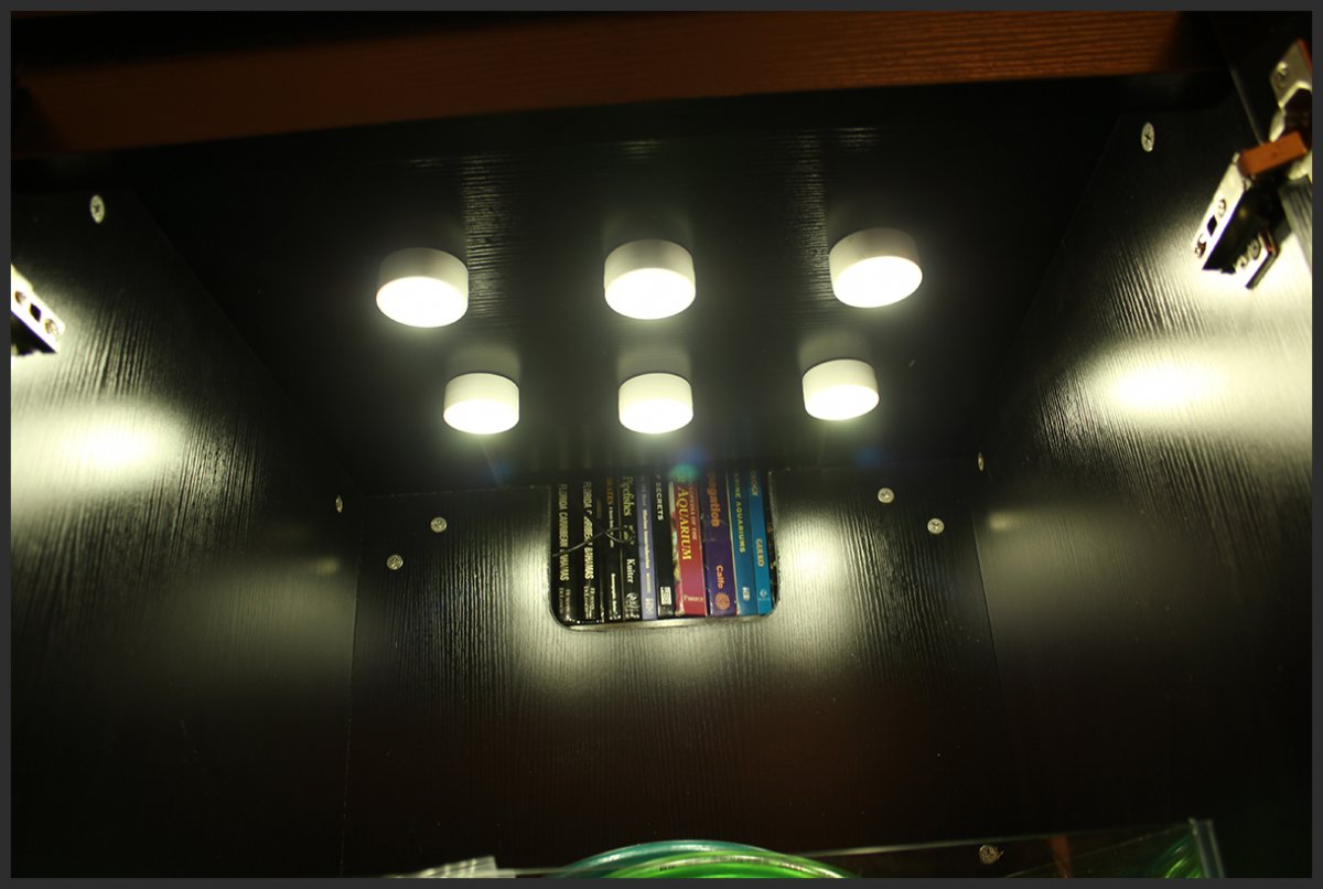 lights.jpg