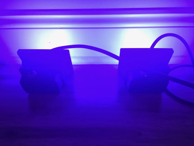 Lights .jpg