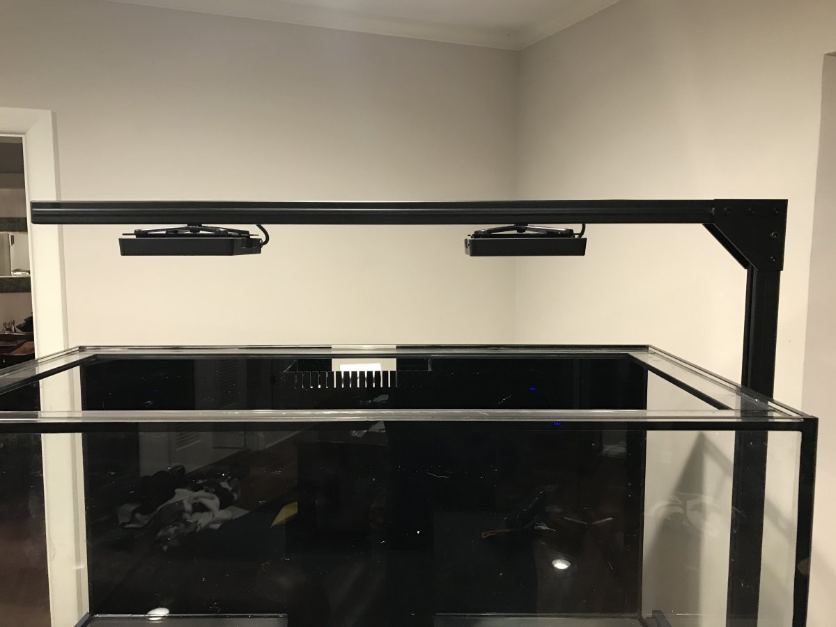 lights mounted.jpg