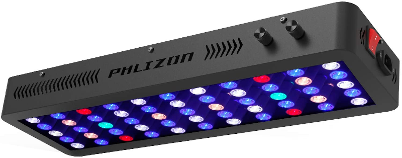 lights.png