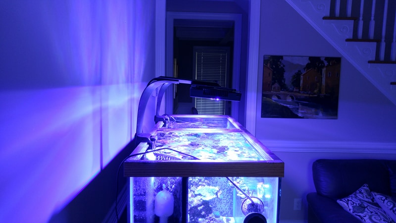 lights sag.jpg