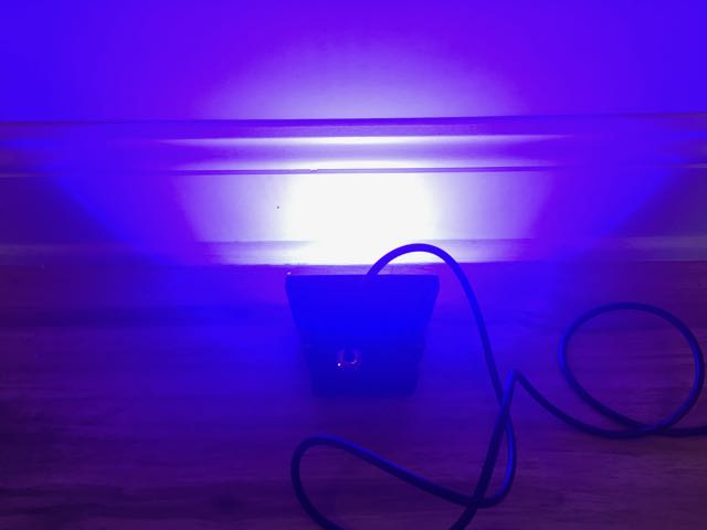 Lights3.jpg