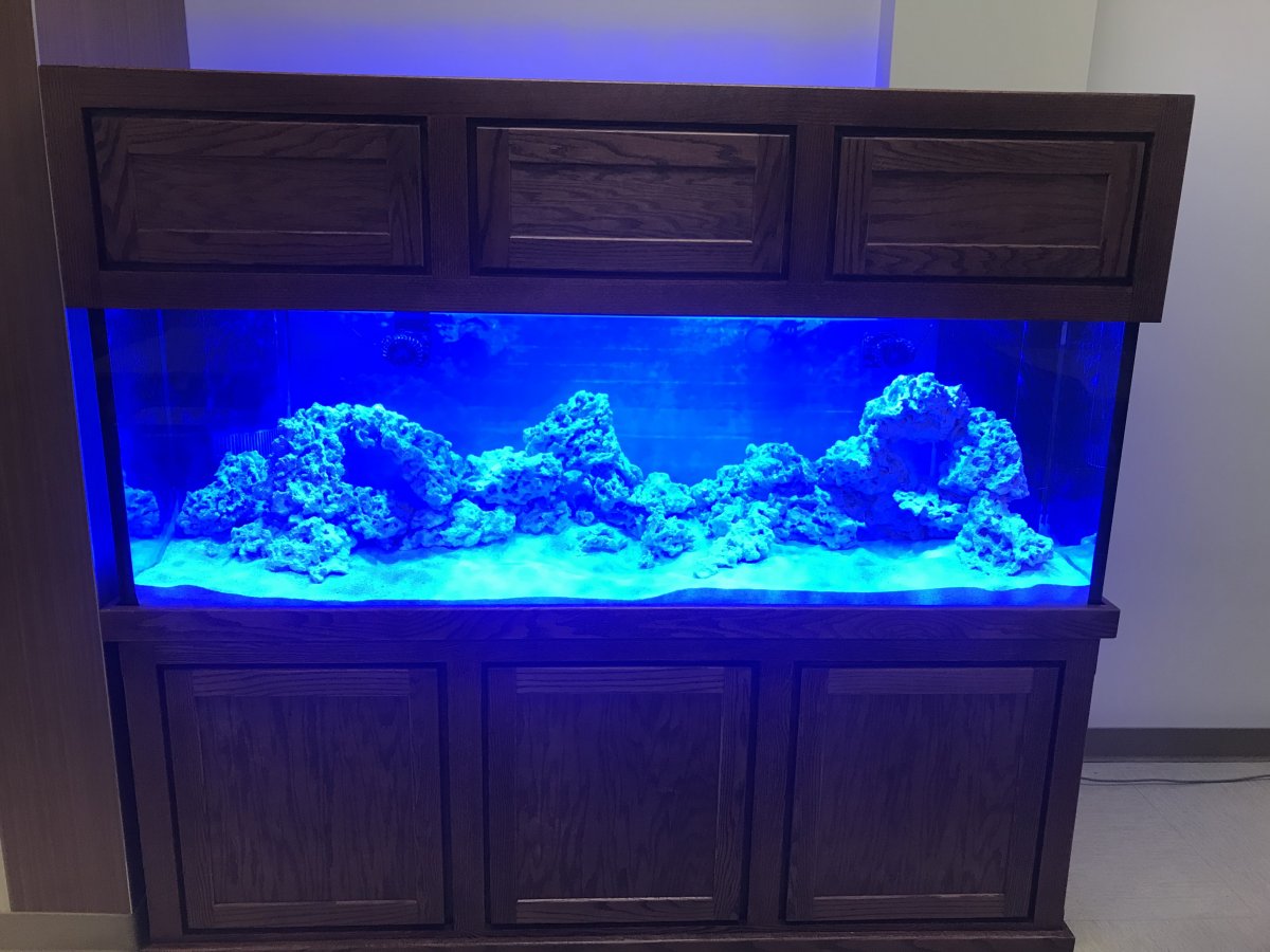 lights_added.JPG