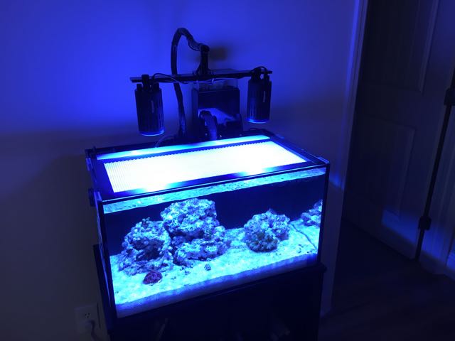 Two Kessil A160we with Spectral Controller, gooseneck, etc