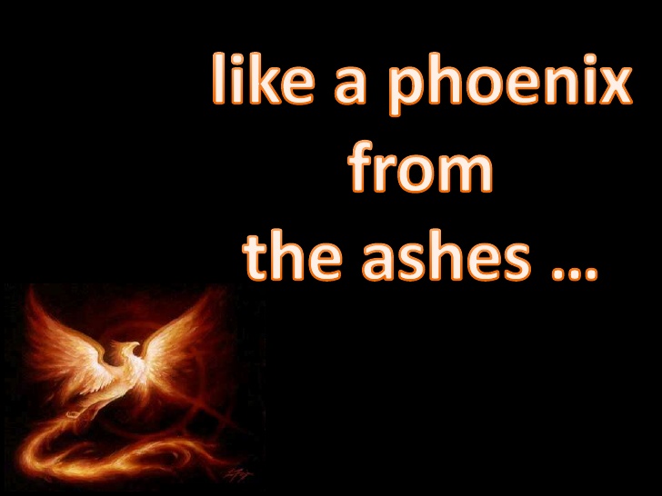 like-a-phoenix-from-the-ashes-1-728.jpg