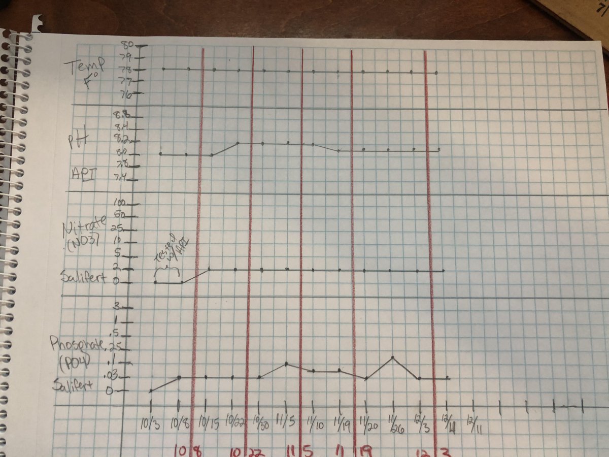 line graph temp.pH,NO3,PO4.jpg