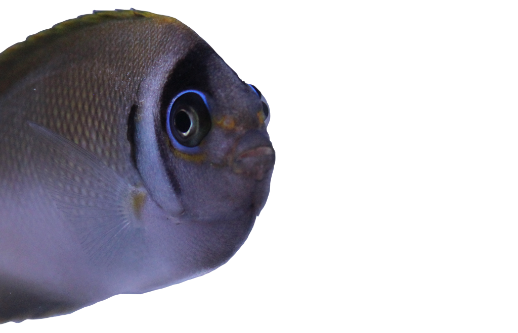 listing-media-2.png