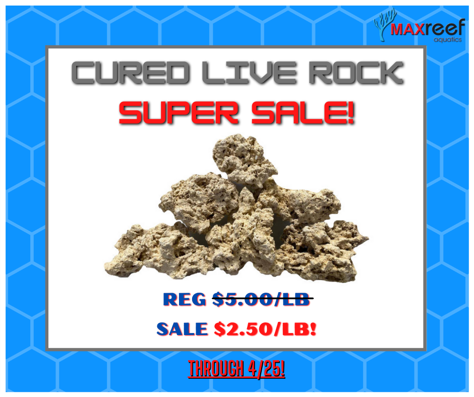 Live Rock Super Sale.png