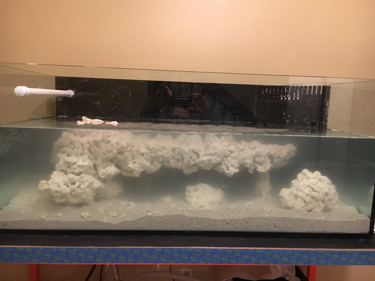 NEW DIY REEF AFTER BEING OUT FOR 13 YEARS | Reef2Reef