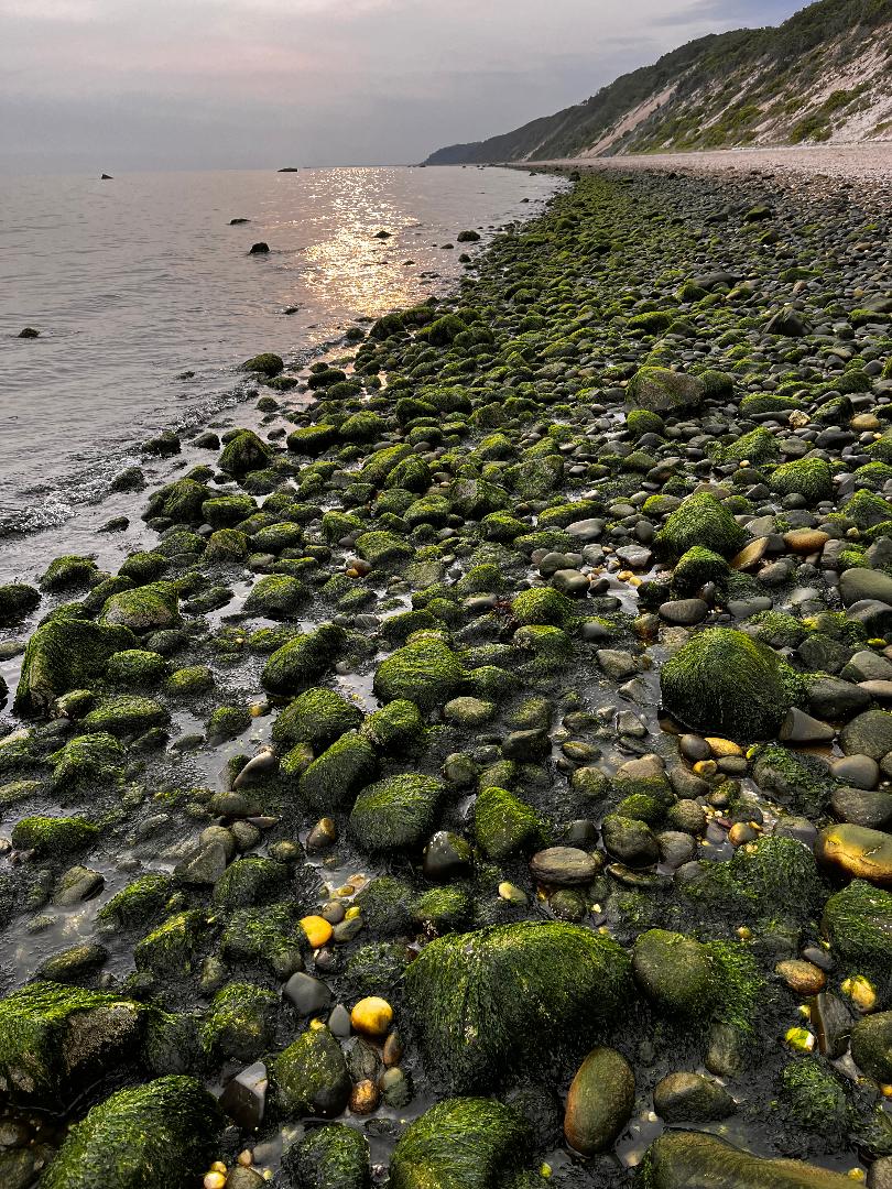 Low tide.jpg