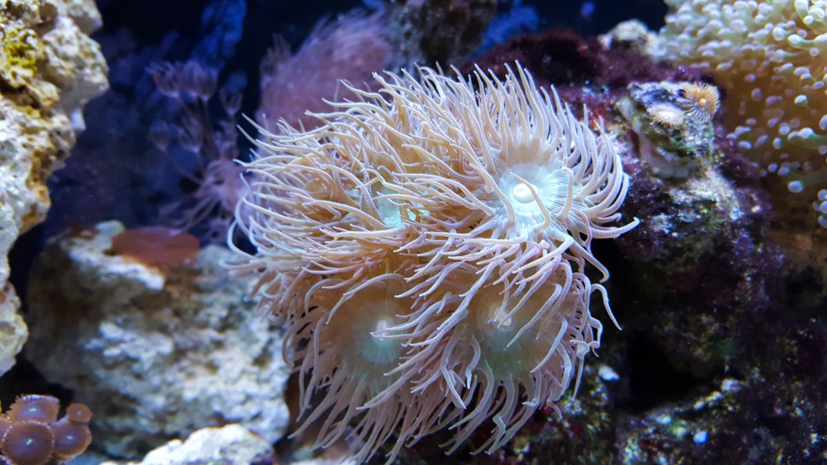 LRM_EXPORT_20170112_183529.jpg