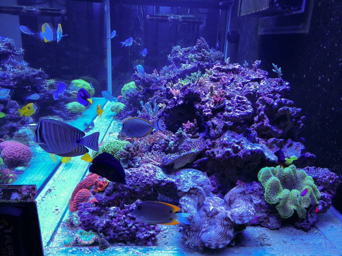LRM_EXPORT_20180610_185353.jpg