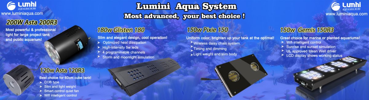 Lumini Aqua product line.jpg