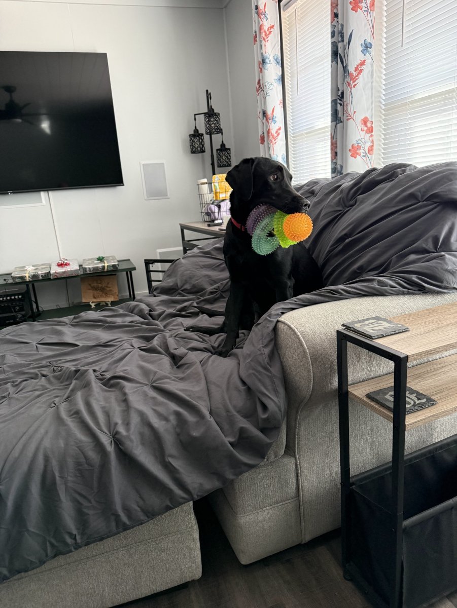 luna.jpeg