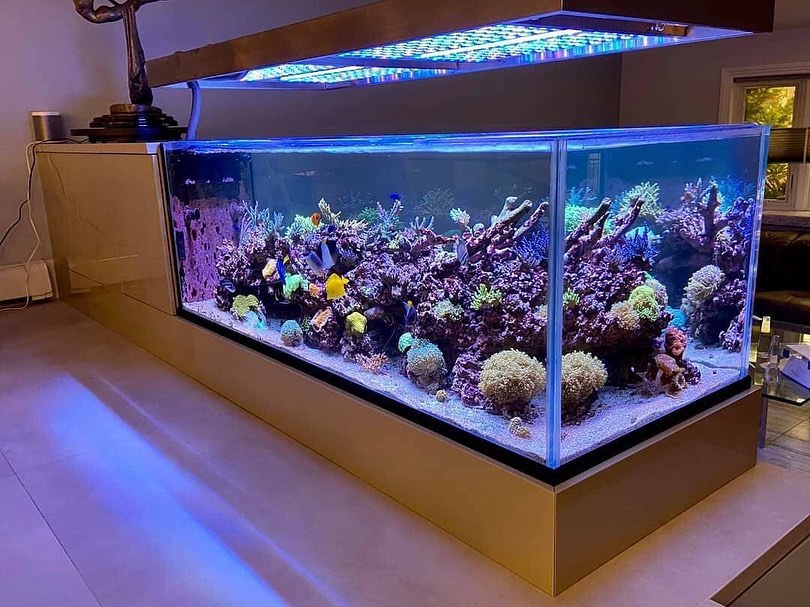 luxurious-reef-tank-LED-light-atlantik-icon-.jpeg