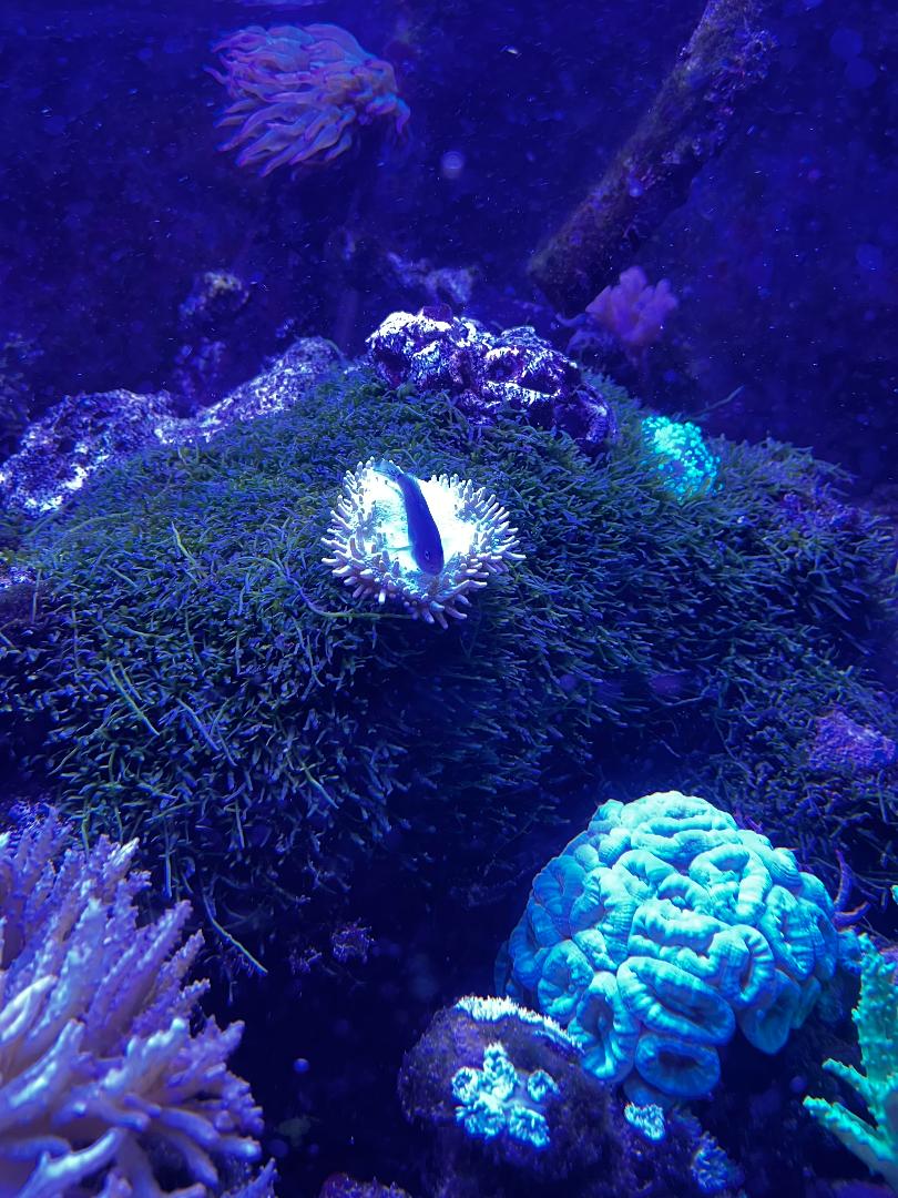 macro.jpg