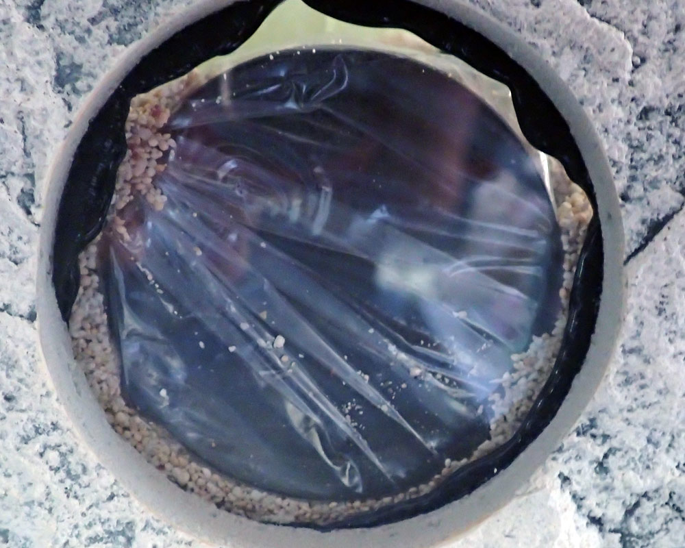 magnet3.jpg