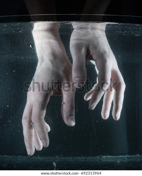 man-holding-hands-aquarium-care-600w-692313964.jpg