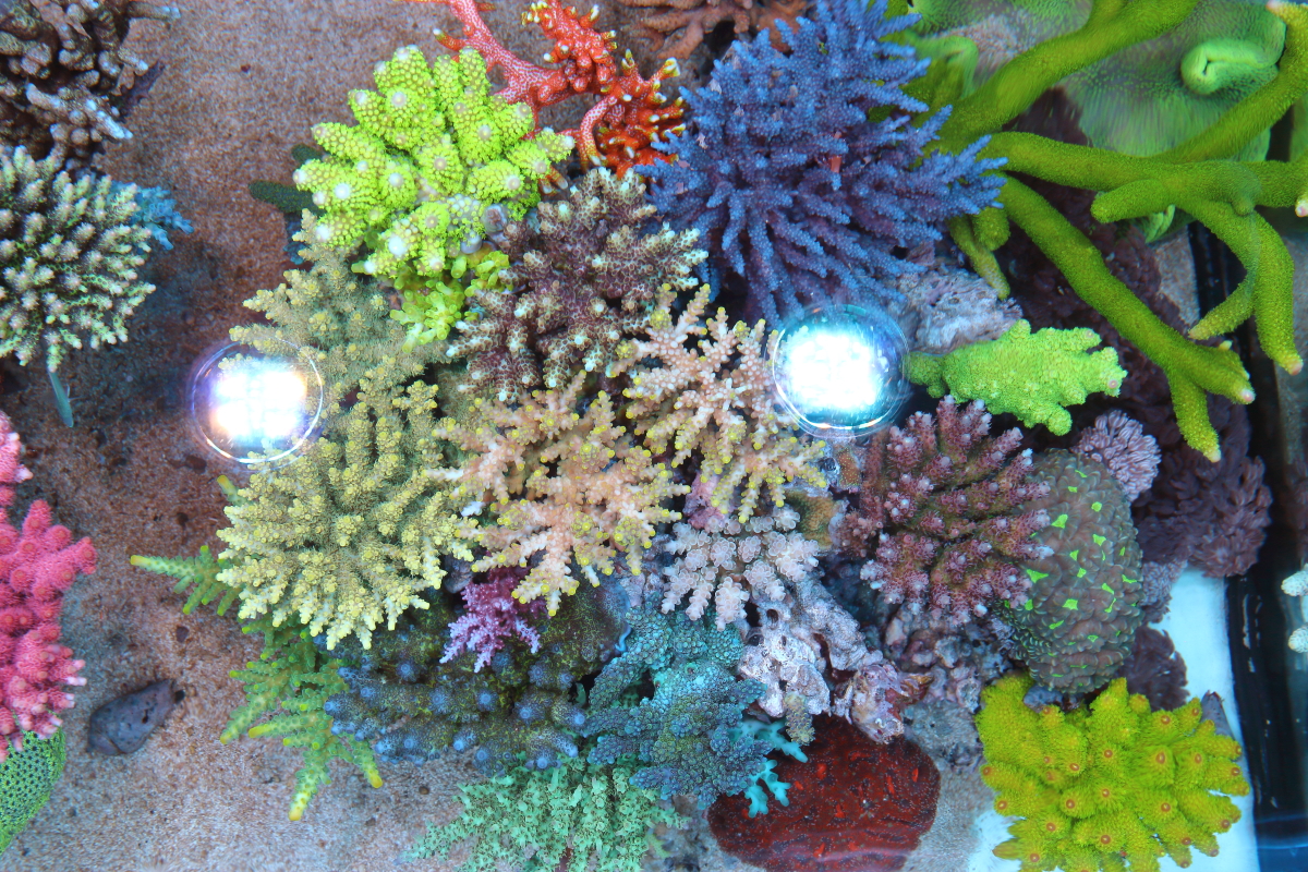 MAR022.JPG